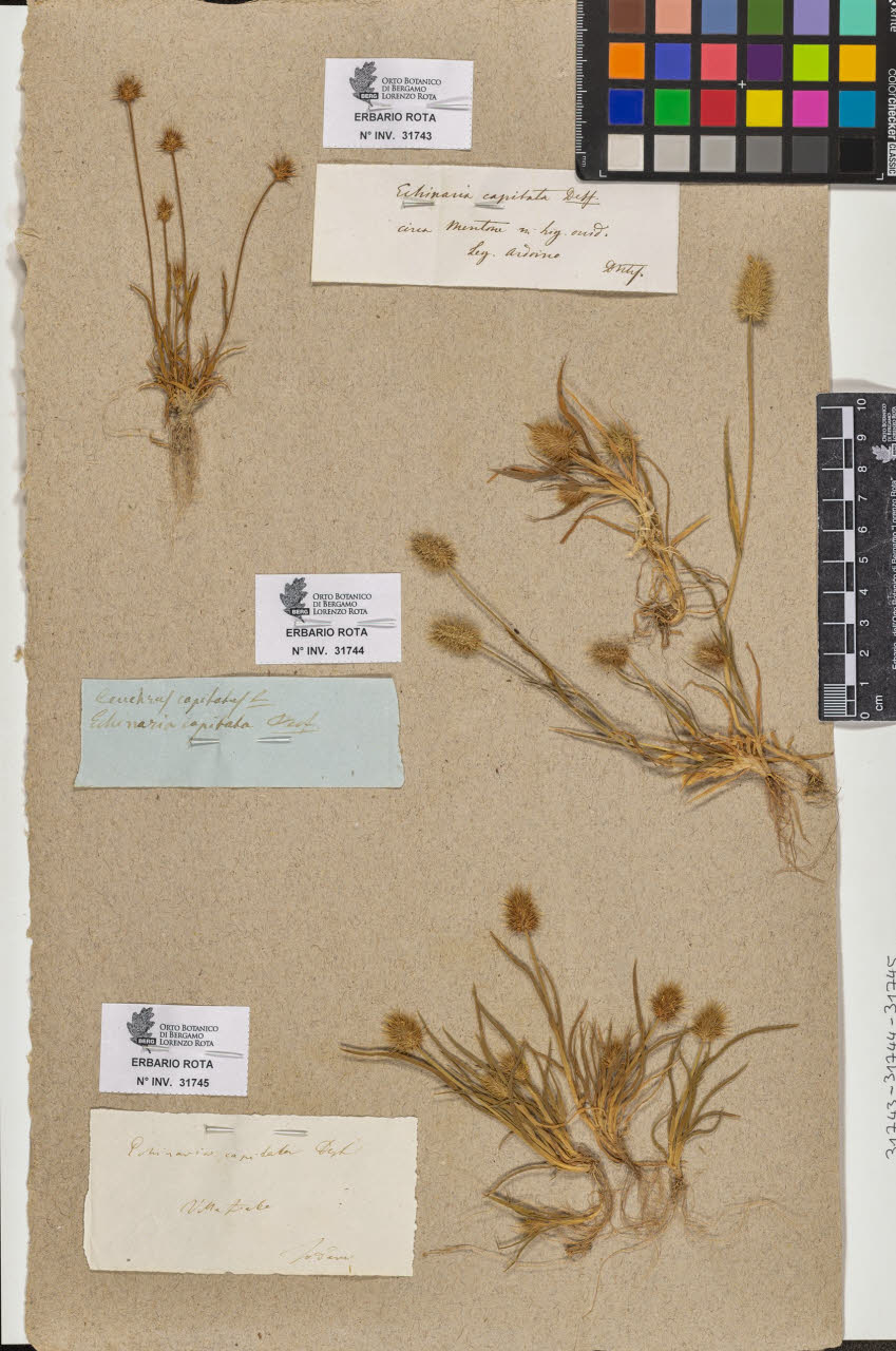 SW_BNB_s3090-09784_IMG-0000000001