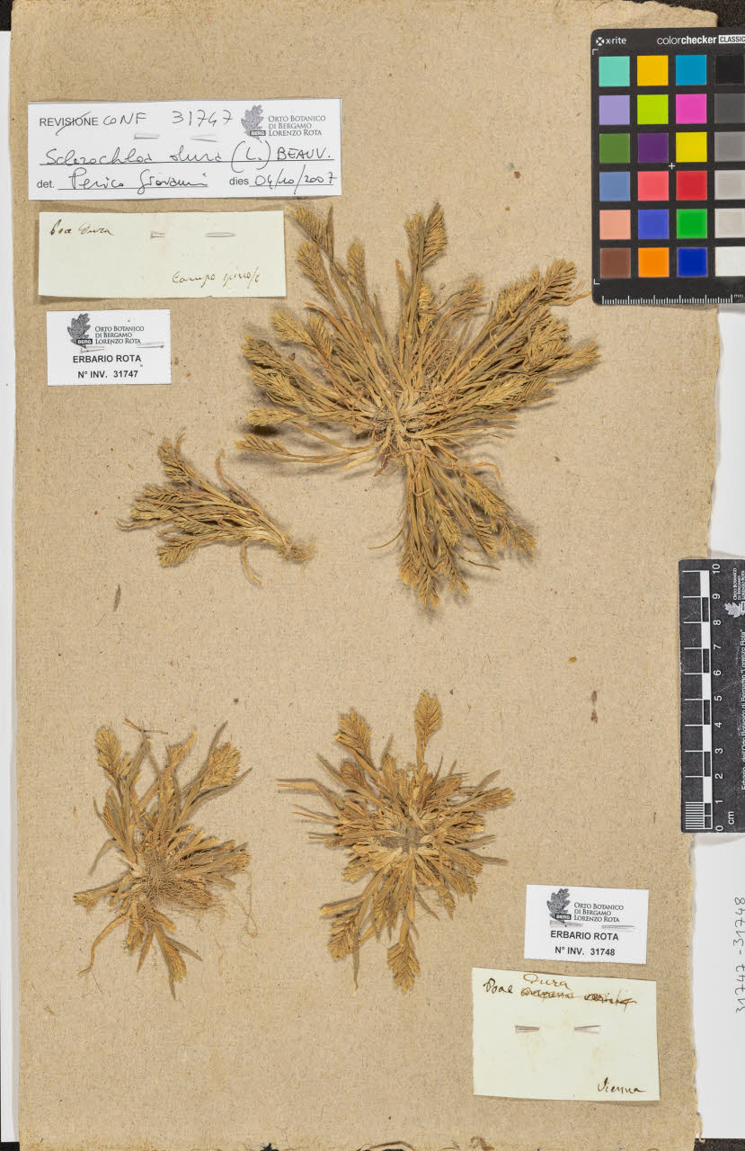 SW_BNB_s3090-09789_IMG-0000000001