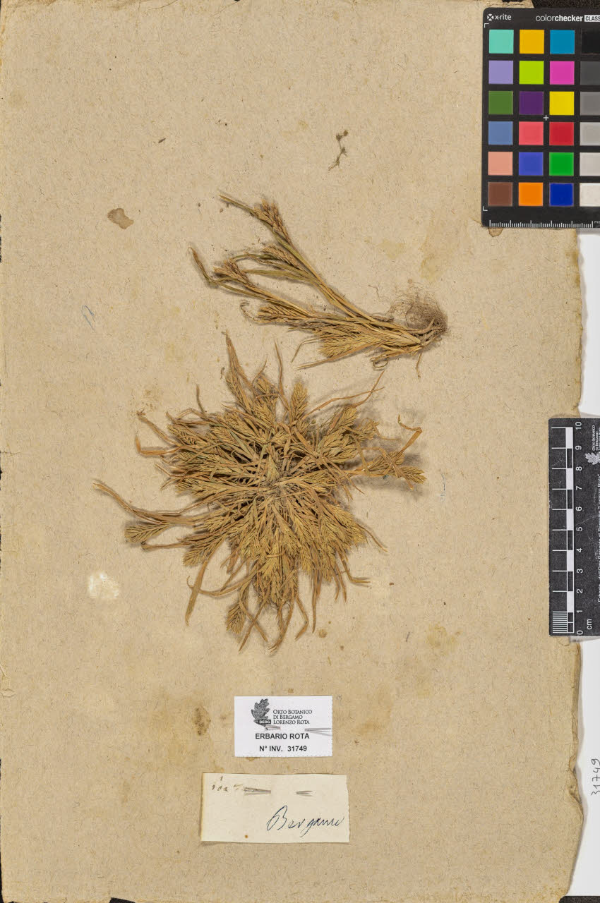 SW_BNB_s3090-09790_IMG-0000000001