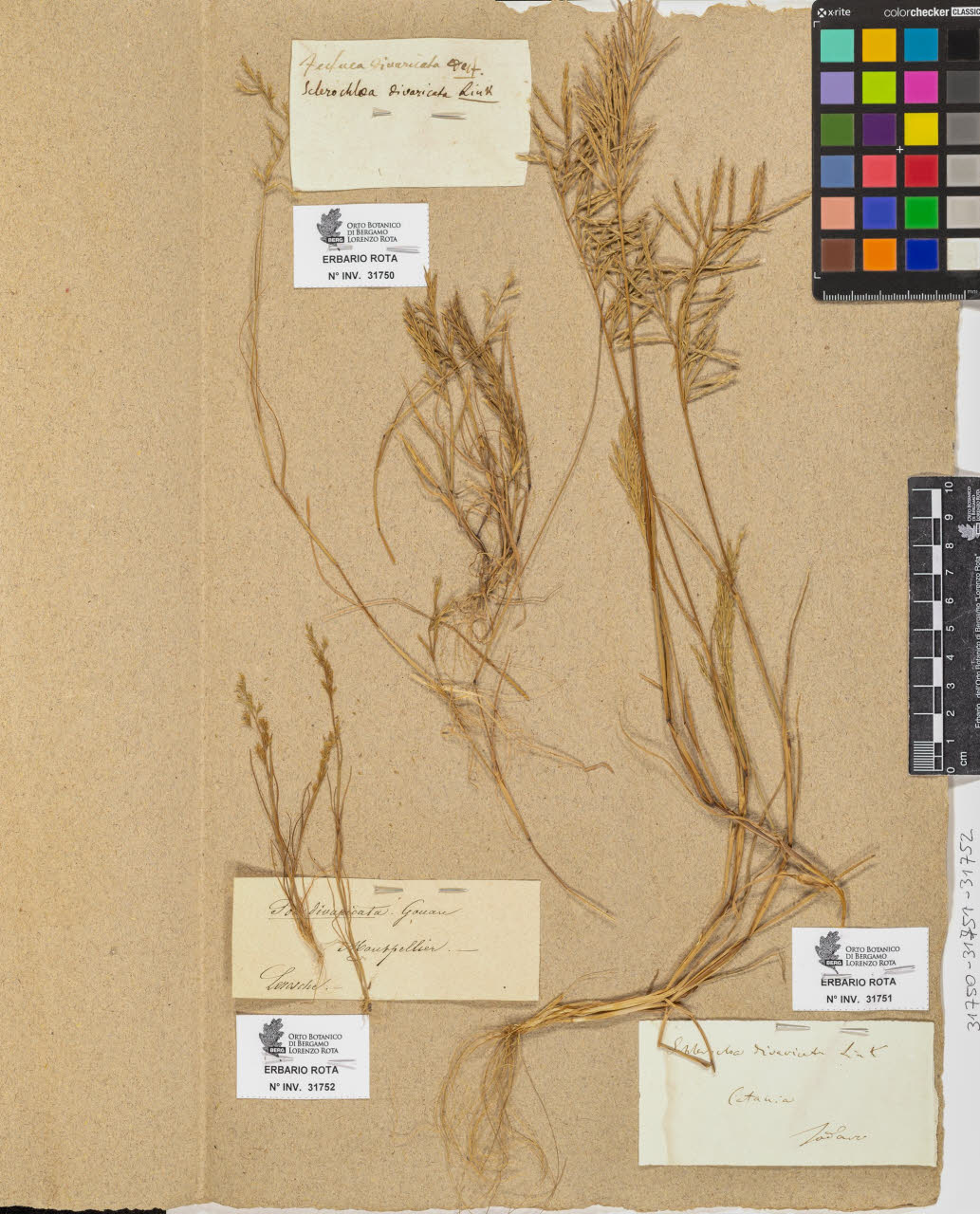 SW_BNB_s3090-09791_IMG-0000000001