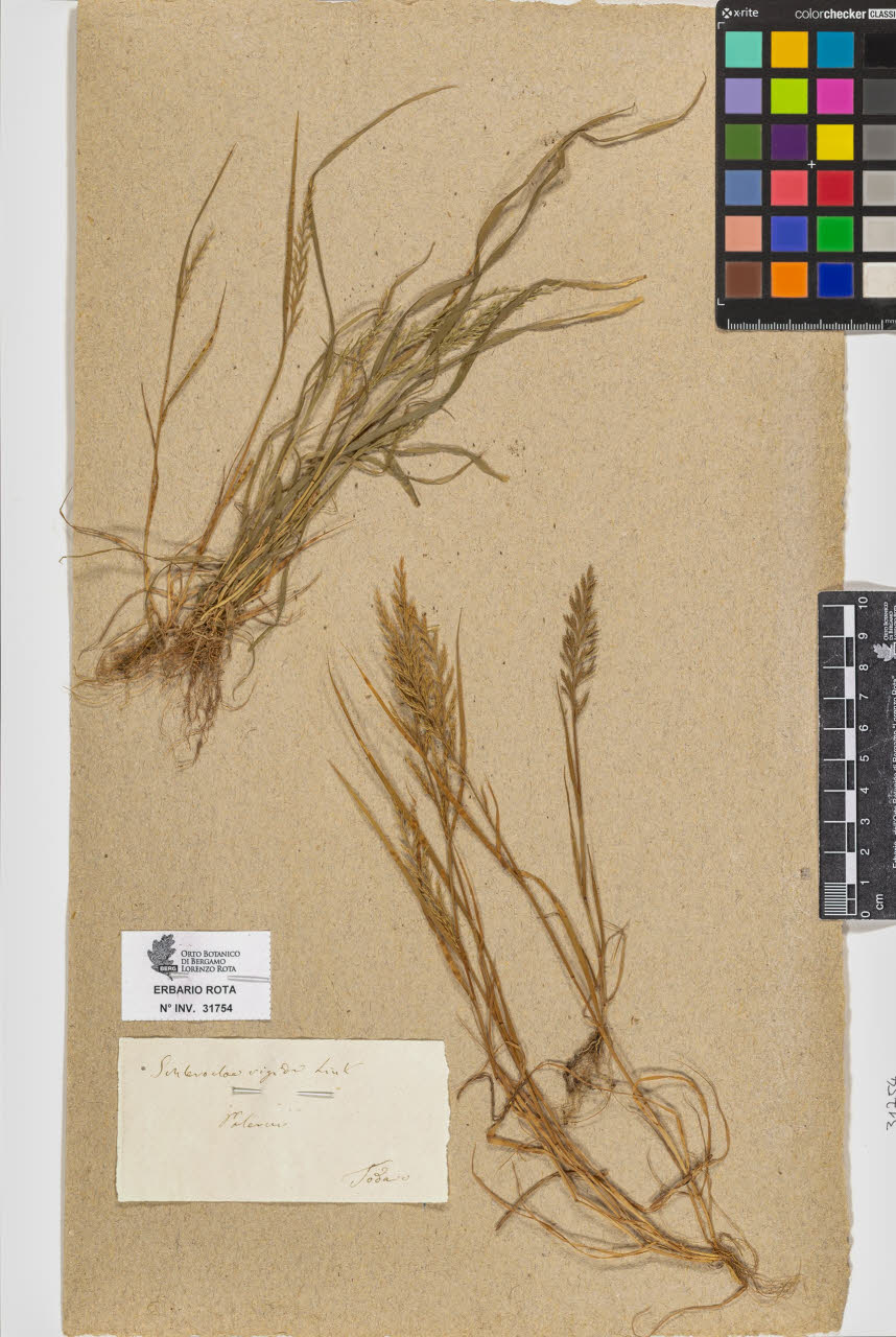 SW_BNB_s3090-09795_IMG-0000000001