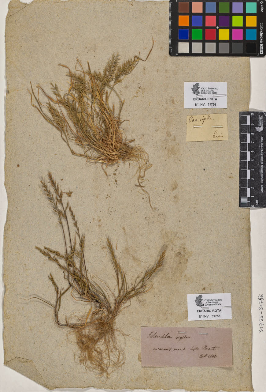 SW_BNB_s3090-09797_IMG-0000000001