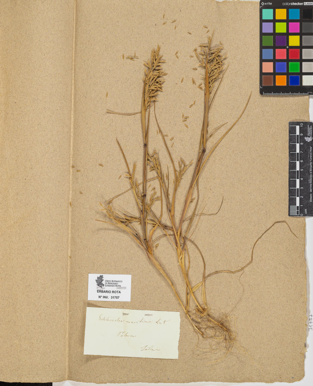 SW_BNB_s3090-09798_IMG-0000000001