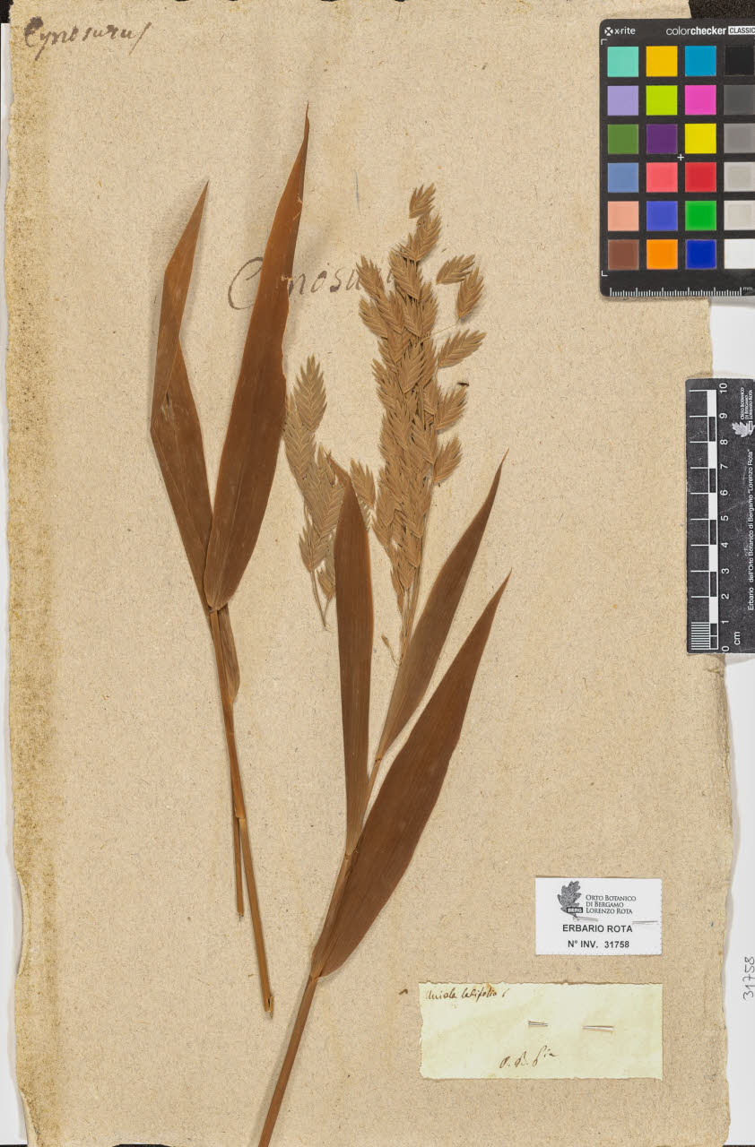 SW_BNB_s3090-09799_IMG-0000000001