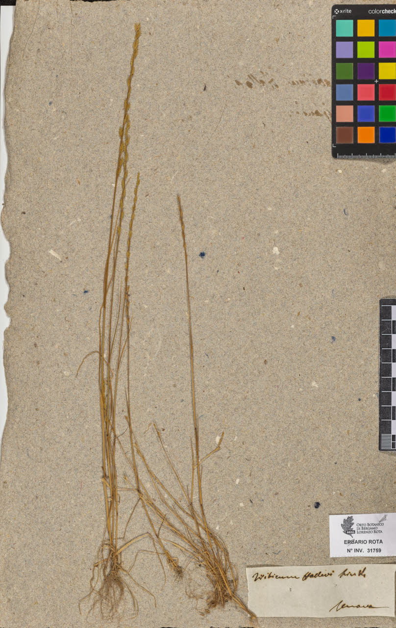 SW_BNB_s3090-09800_IMG-0000000001