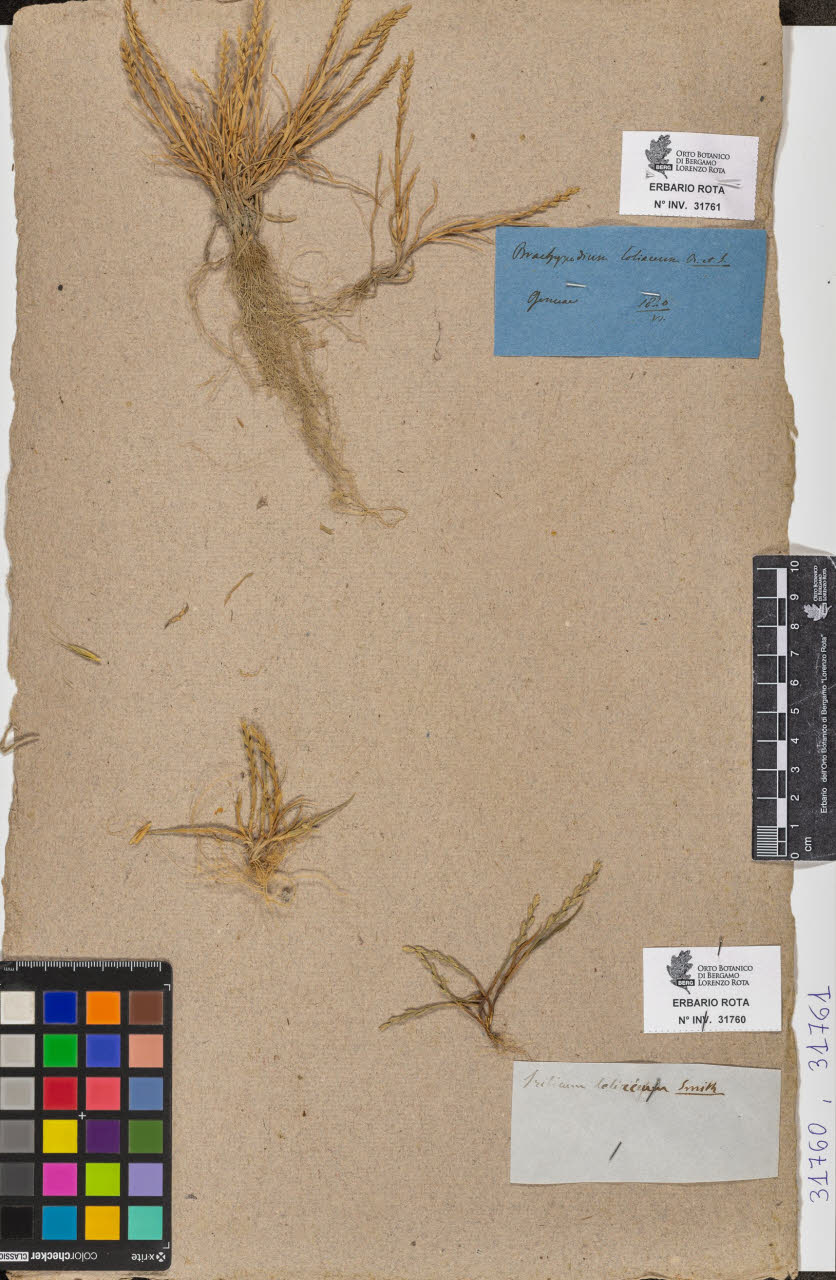 SW_BNB_s3090-09802_IMG-0000000001