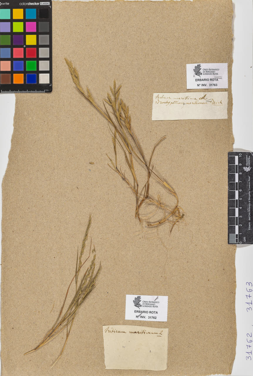 SW_BNB_s3090-09804_IMG-0000000001