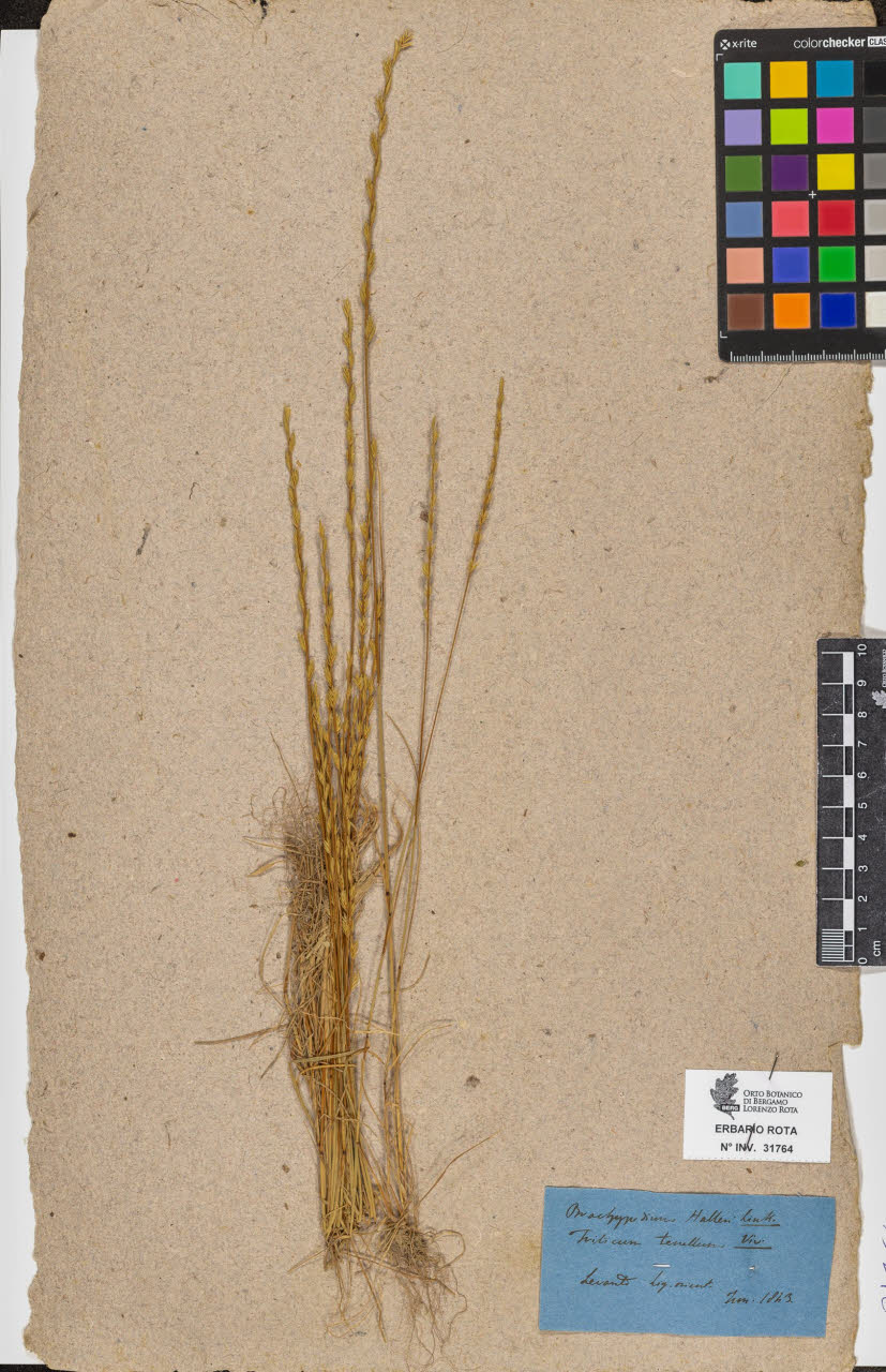 SW_BNB_s3090-09805_IMG-0000000001