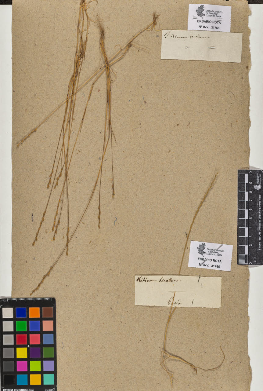 SW_BNB_s3090-09806_IMG-0000000001