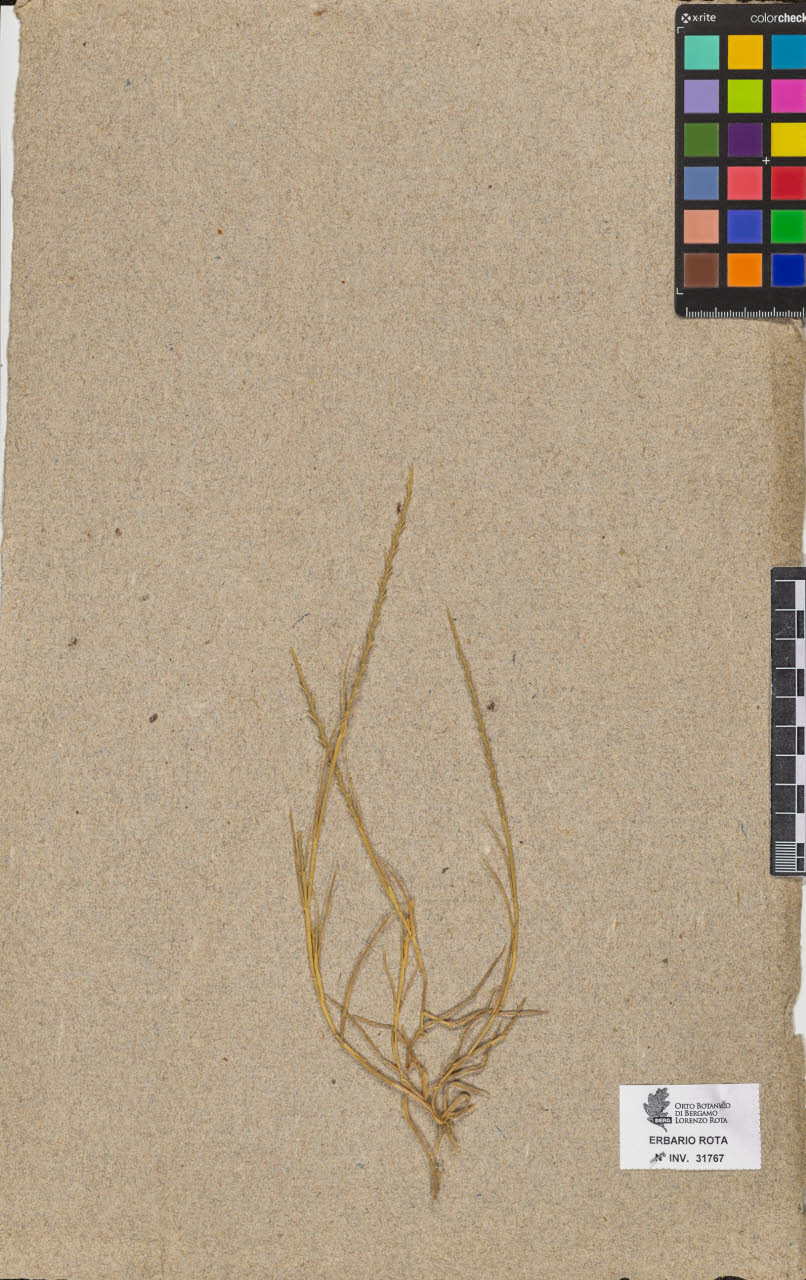 SW_BNB_s3090-09808_IMG-0000000001