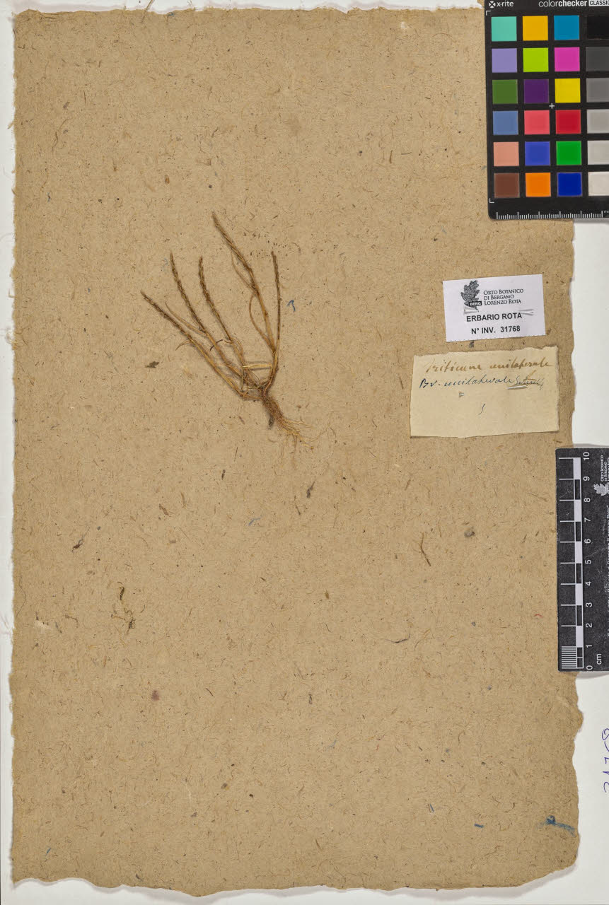 SW_BNB_s3090-09809_IMG-0000000001