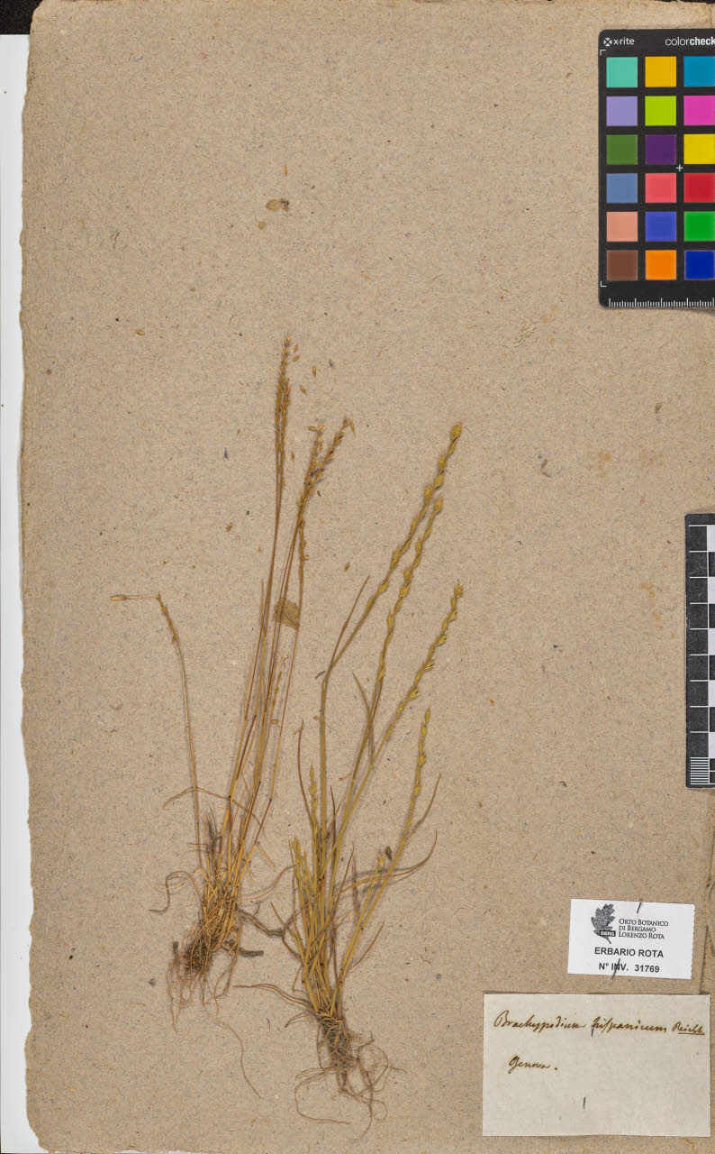 SW_BNB_s3090-09810_IMG-0000000001