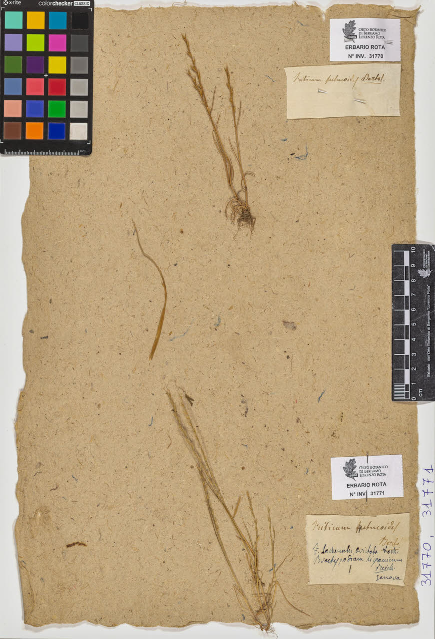 SW_BNB_s3090-09812_IMG-0000000001