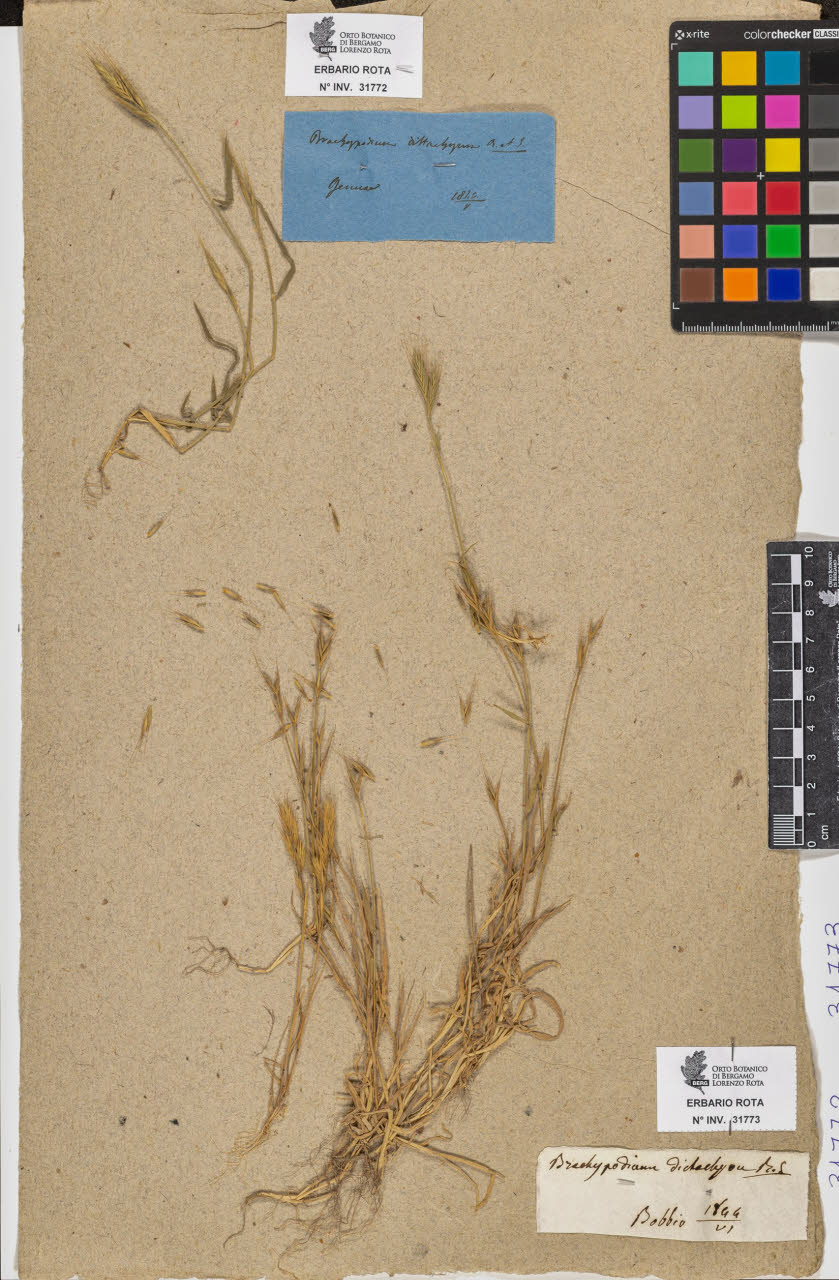 SW_BNB_s3090-09814_IMG-0000000001