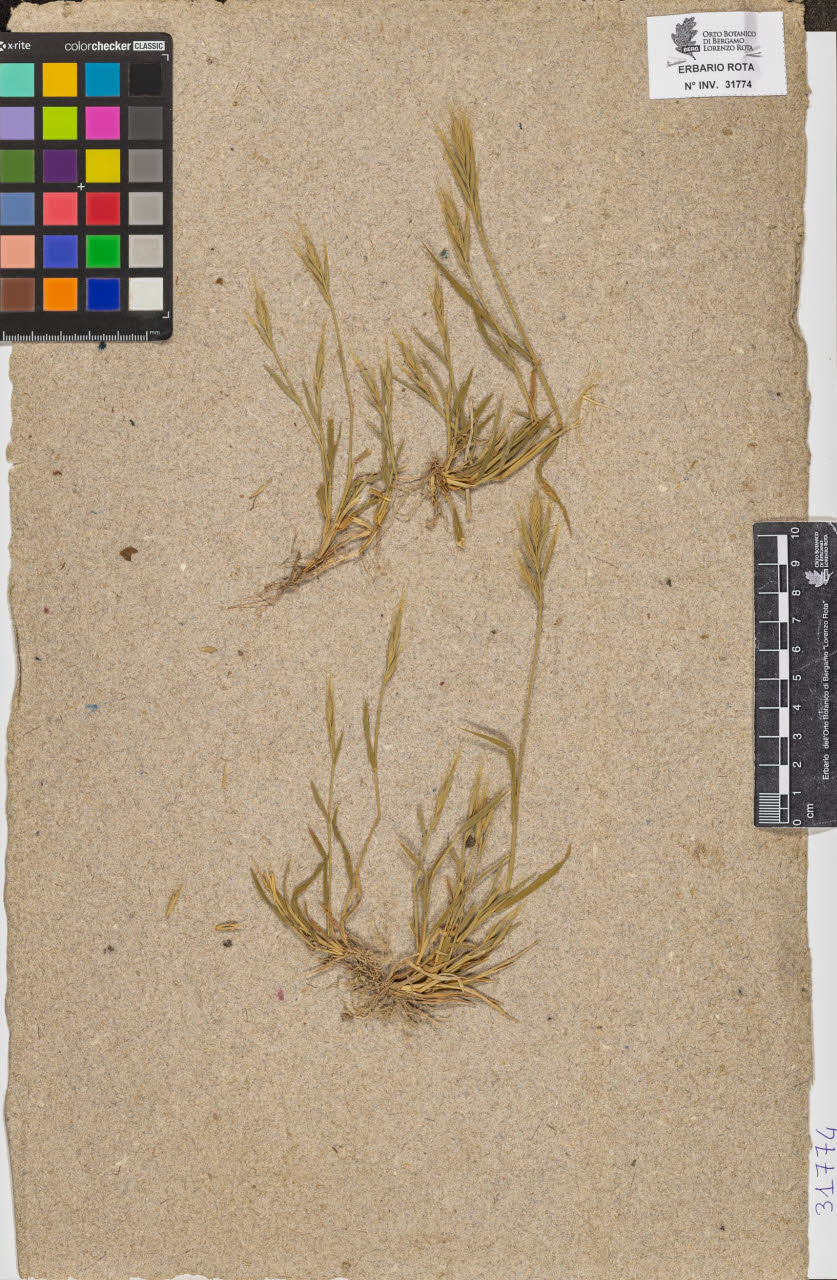 SW_BNB_s3090-09815_IMG-0000000001