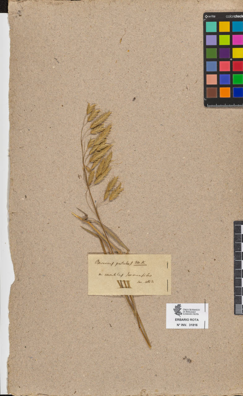 SW_BNB_s3090-09857_IMG-0000000001