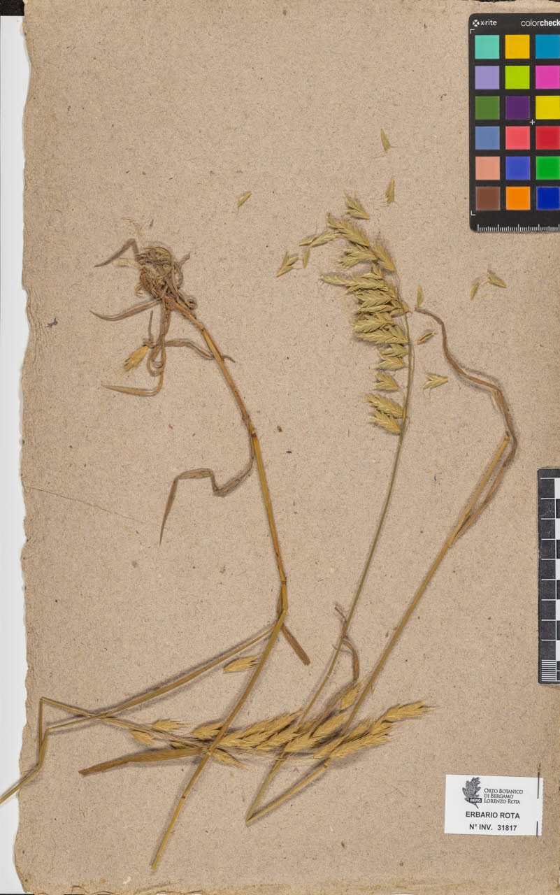 SW_BNB_s3090-09858_IMG-0000000001