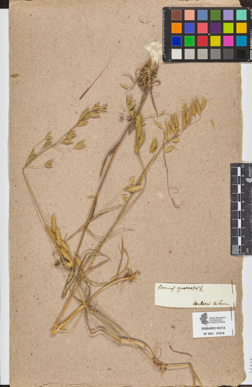 SW_BNB_s3090-09859_IMG-0000000001