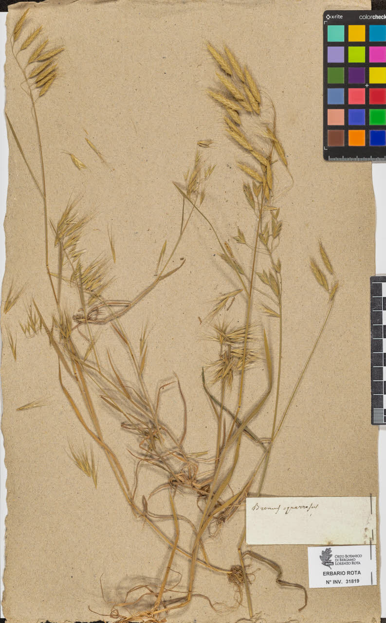 SW_BNB_s3090-09860_IMG-0000000001