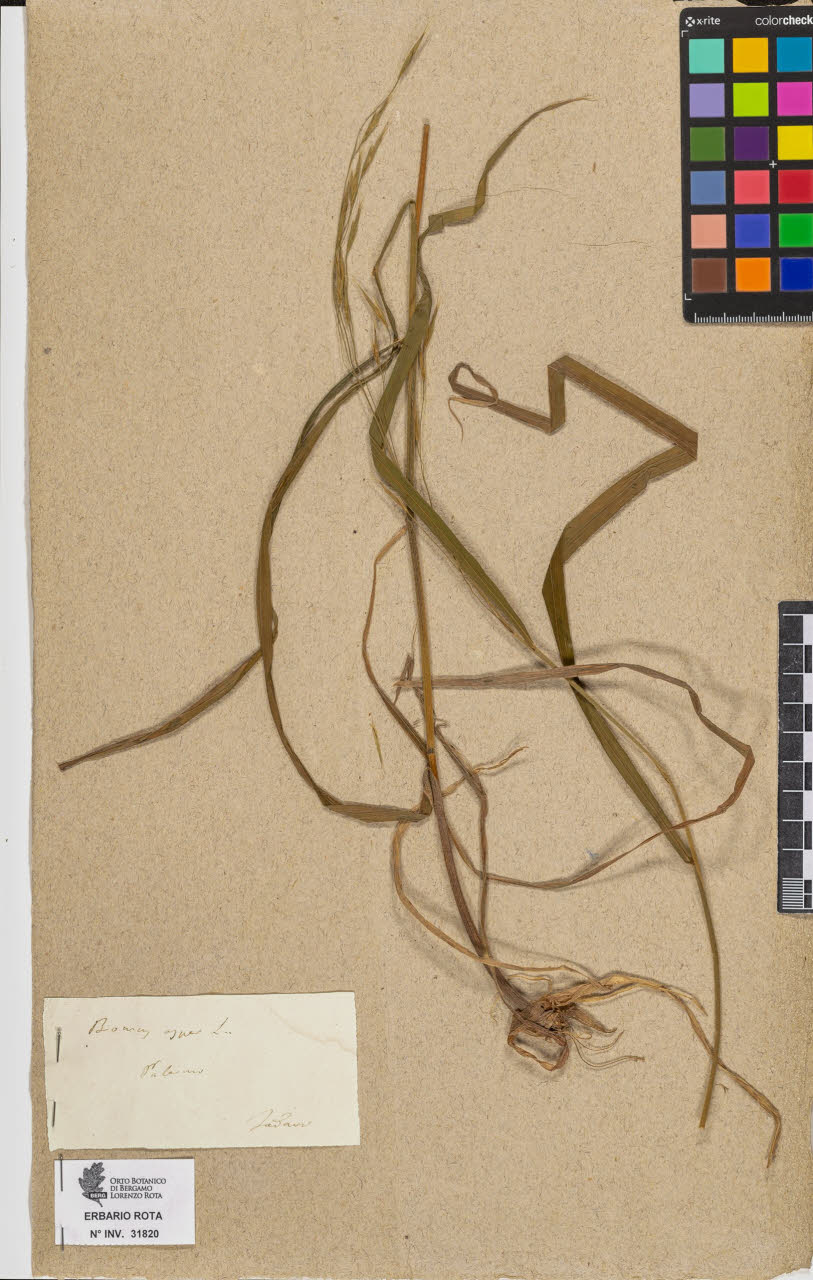 SW_BNB_s3090-09861_IMG-0000000001