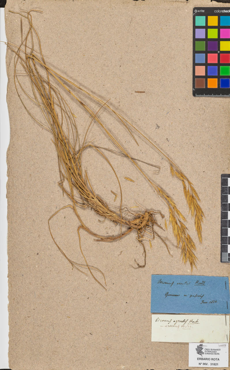 SW_BNB_s3090-09862_IMG-0000000001