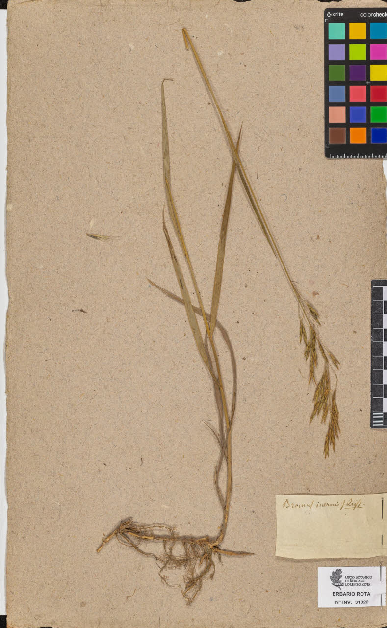 SW_BNB_s3090-09863_IMG-0000000001