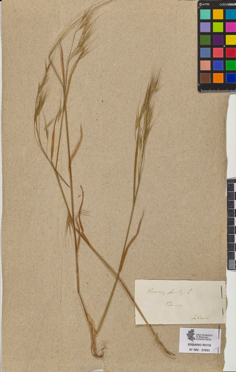 SW_BNB_s3090-09864_IMG-0000000001