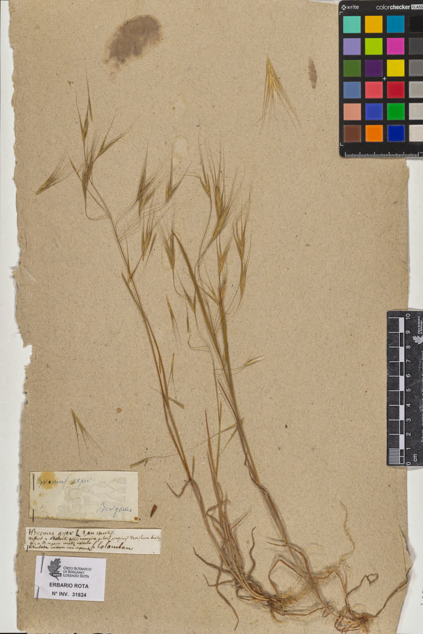 SW_BNB_s3090-09865_IMG-0000000001