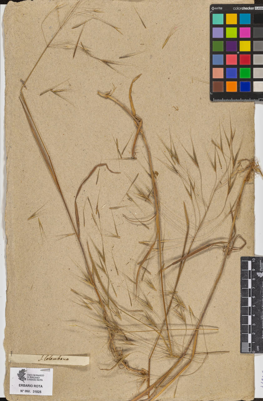 SW_BNB_s3090-09866_IMG-0000000001