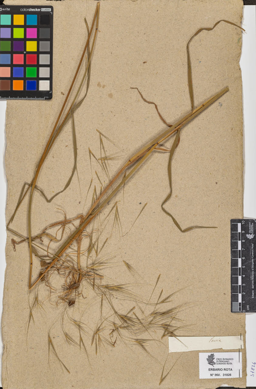 SW_BNB_s3090-09867_IMG-0000000001