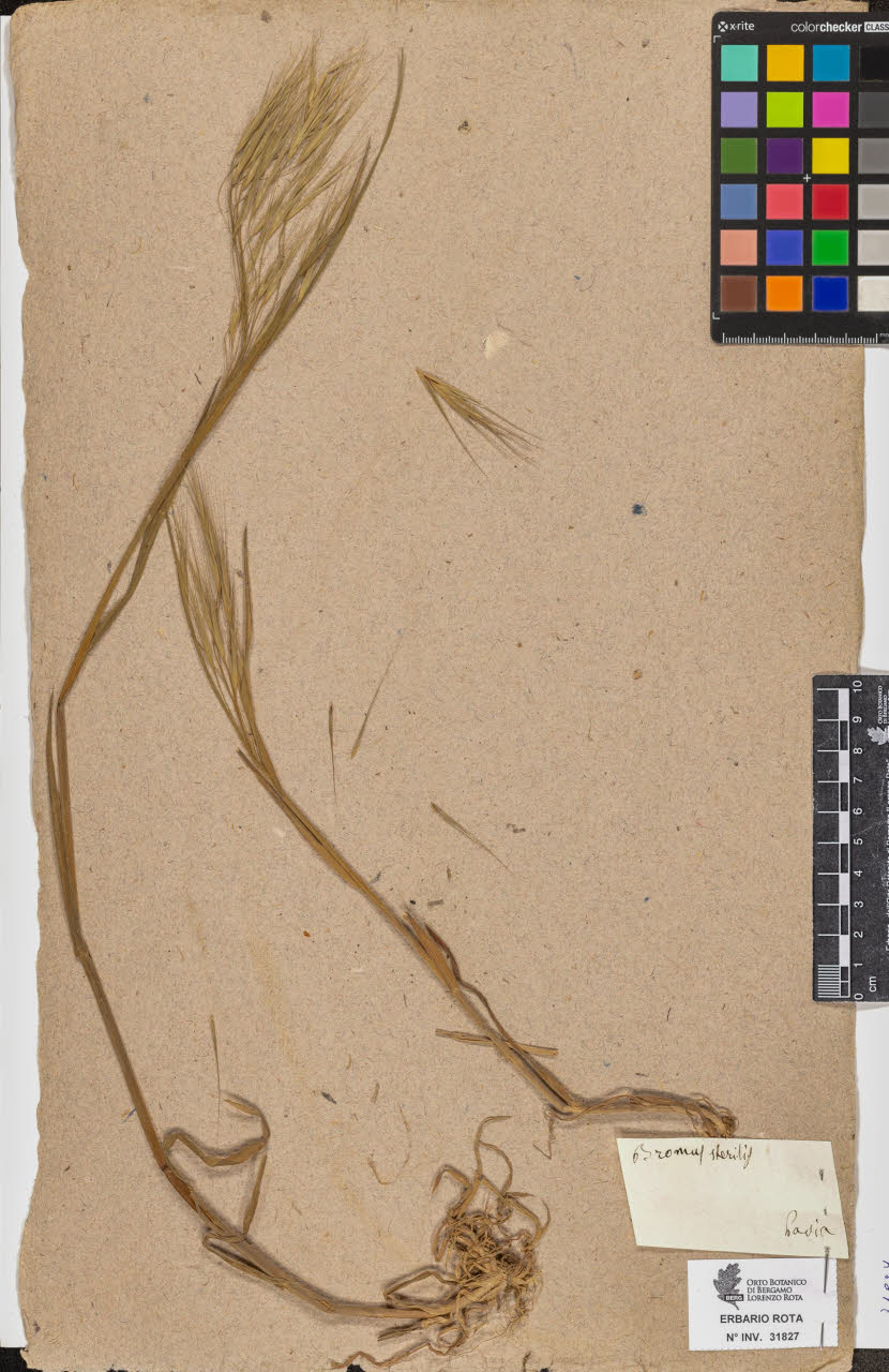 SW_BNB_s3090-09868_IMG-0000000001