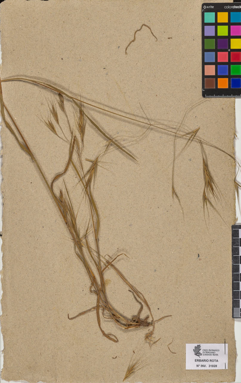 SW_BNB_s3090-09869_IMG-0000000001