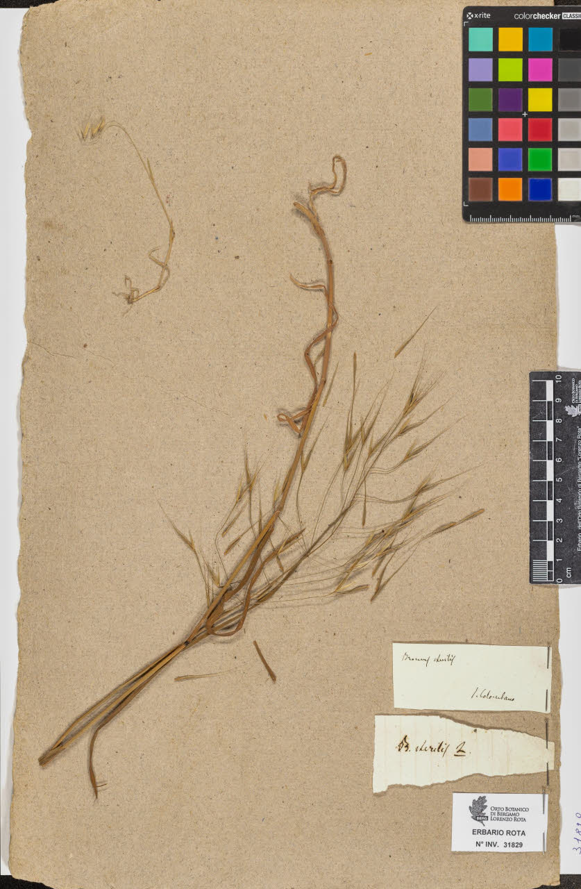 SW_BNB_s3090-09870_IMG-0000000001