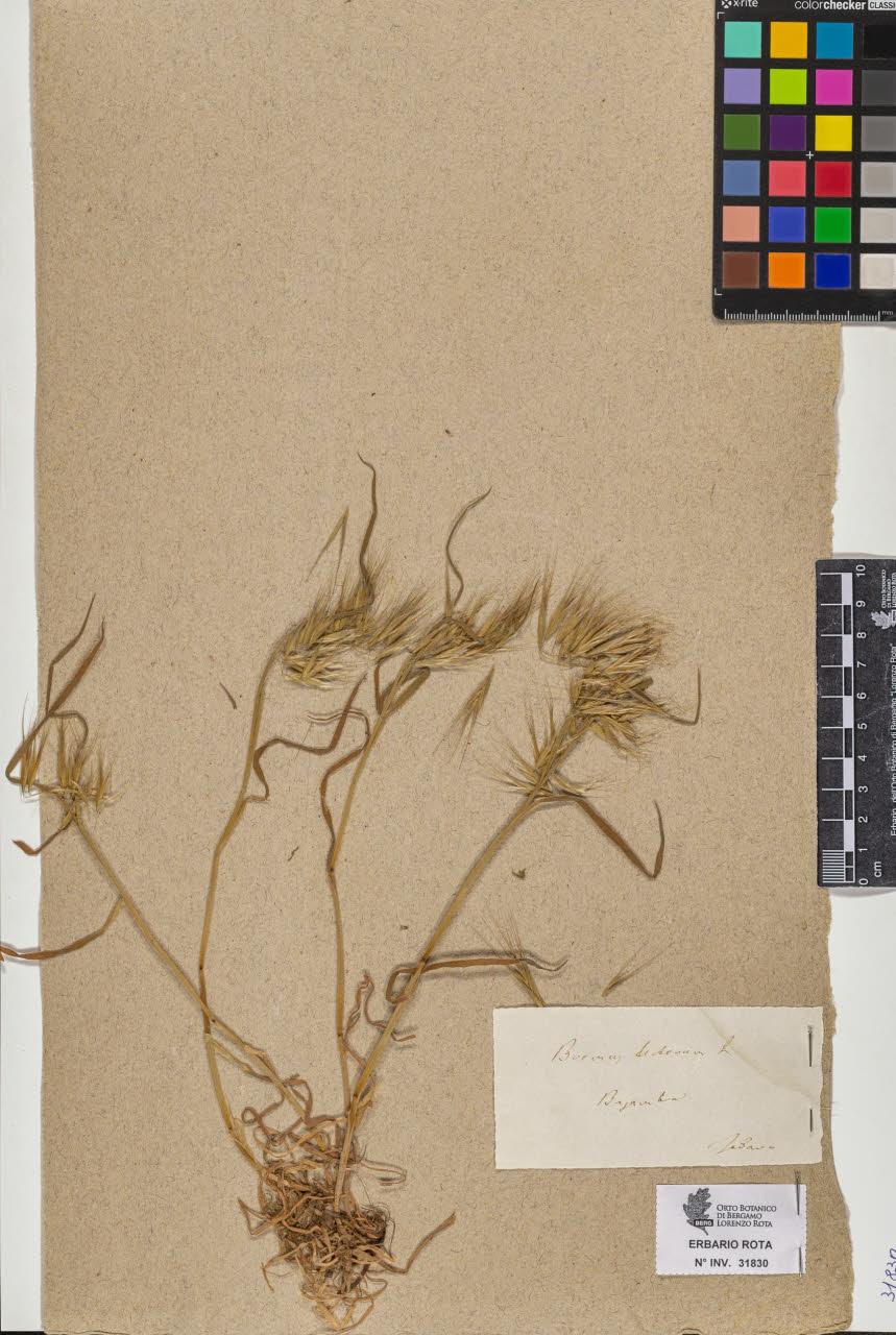 SW_BNB_s3090-09871_IMG-0000000001