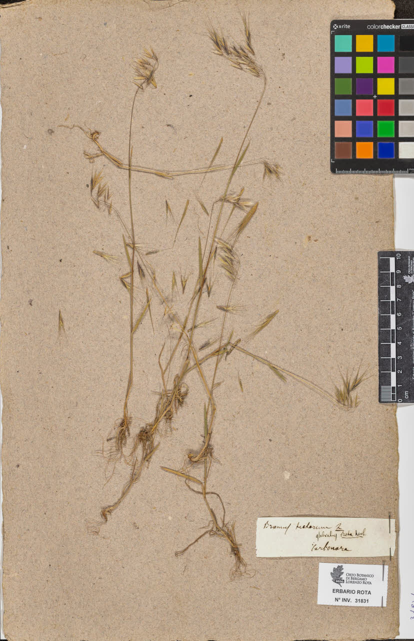 SW_BNB_s3090-09872_IMG-0000000001