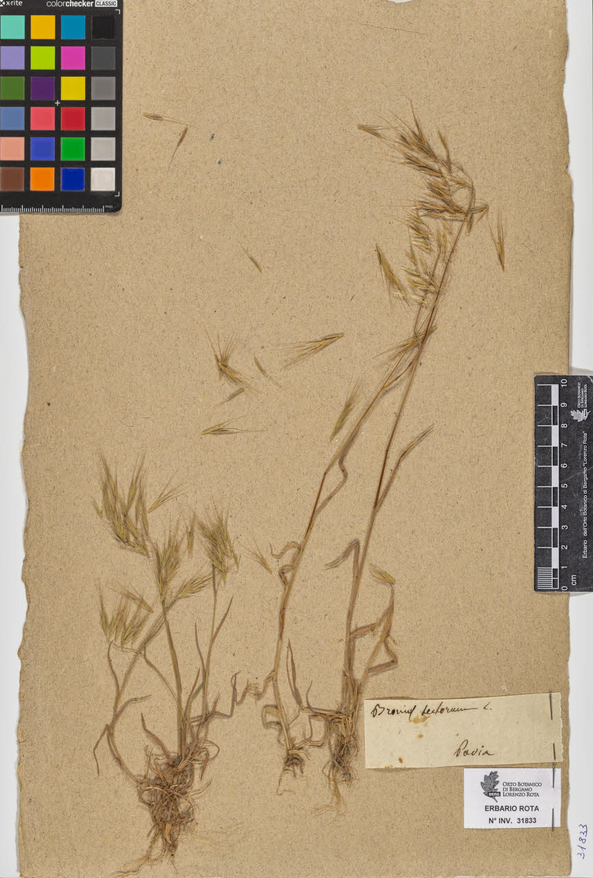 SW_BNB_s3090-09874_IMG-0000000001