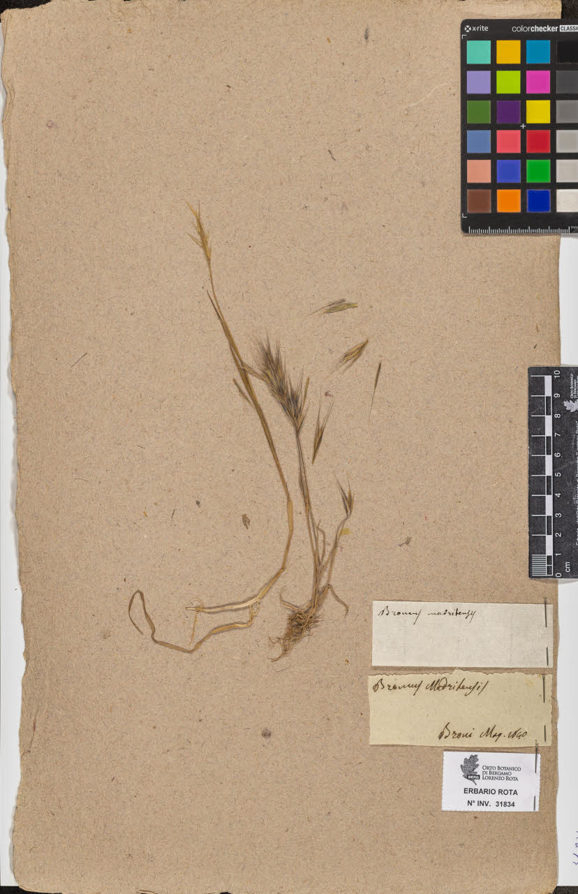 SW_BNB_s3090-09875_IMG-0000000001