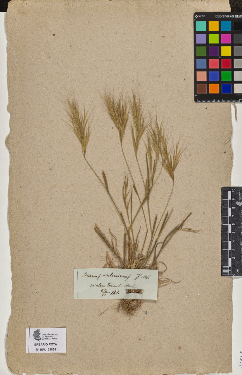 SW_BNB_s3090-09876_IMG-0000000001