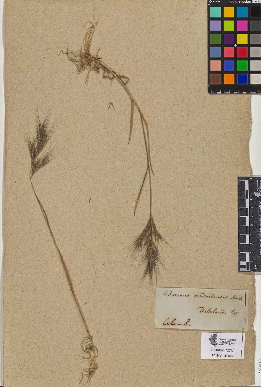 SW_BNB_s3090-09877_IMG-0000000001