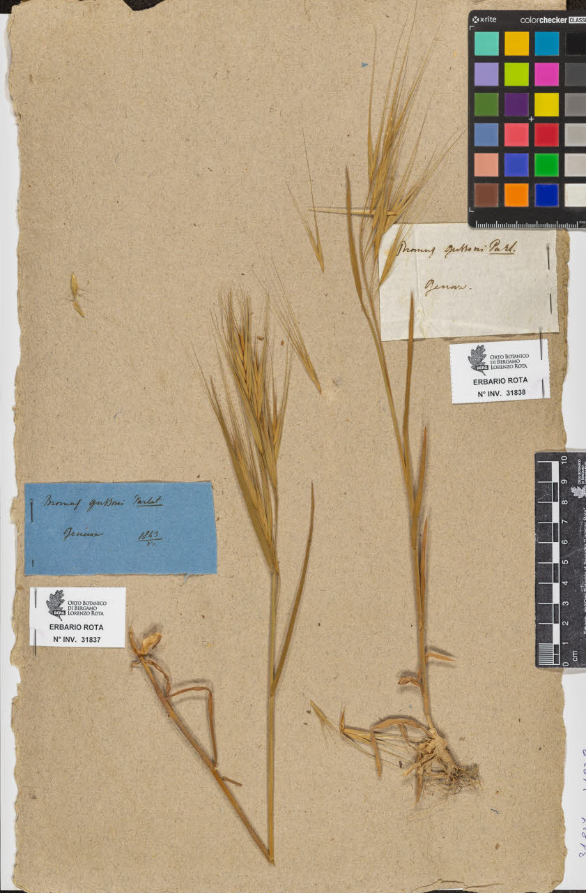 SW_BNB_s3090-09879_IMG-0000000001