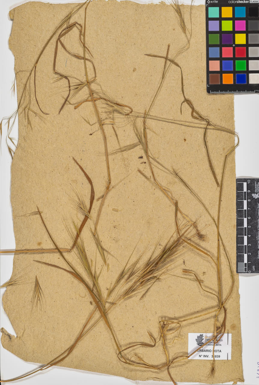 SW_BNB_s3090-09880_IMG-0000000001