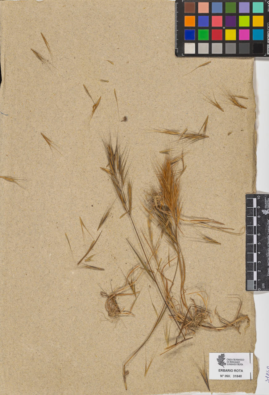 SW_BNB_s3090-09881_IMG-0000000001