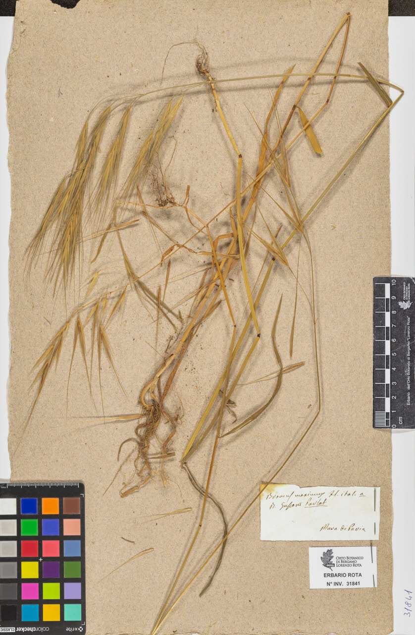 SW_BNB_s3090-09882_IMG-0000000001