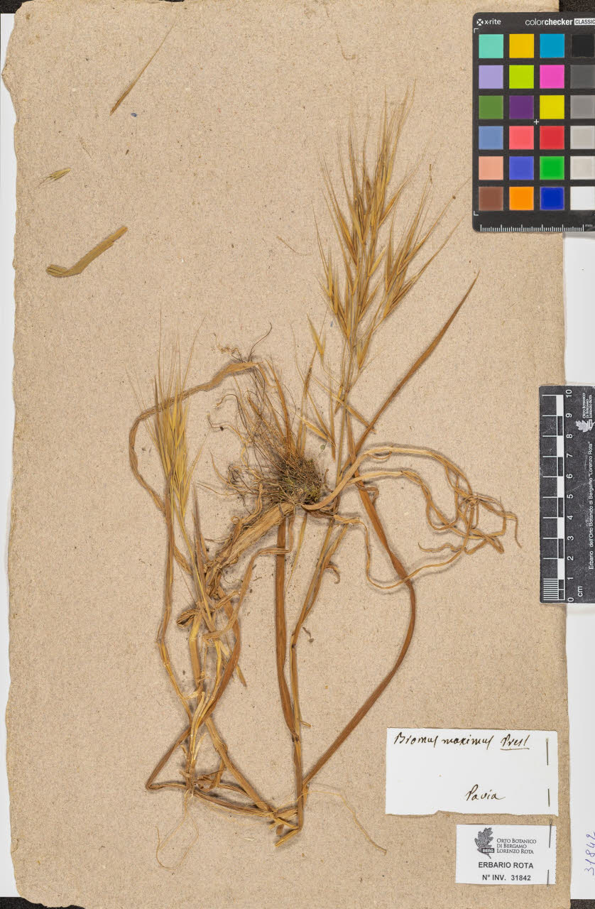 SW_BNB_s3090-09883_IMG-0000000001