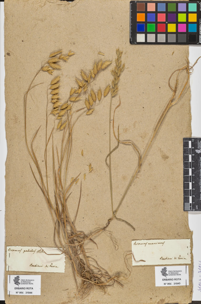 SW_BNB_s3090-09884_IMG-0000000001