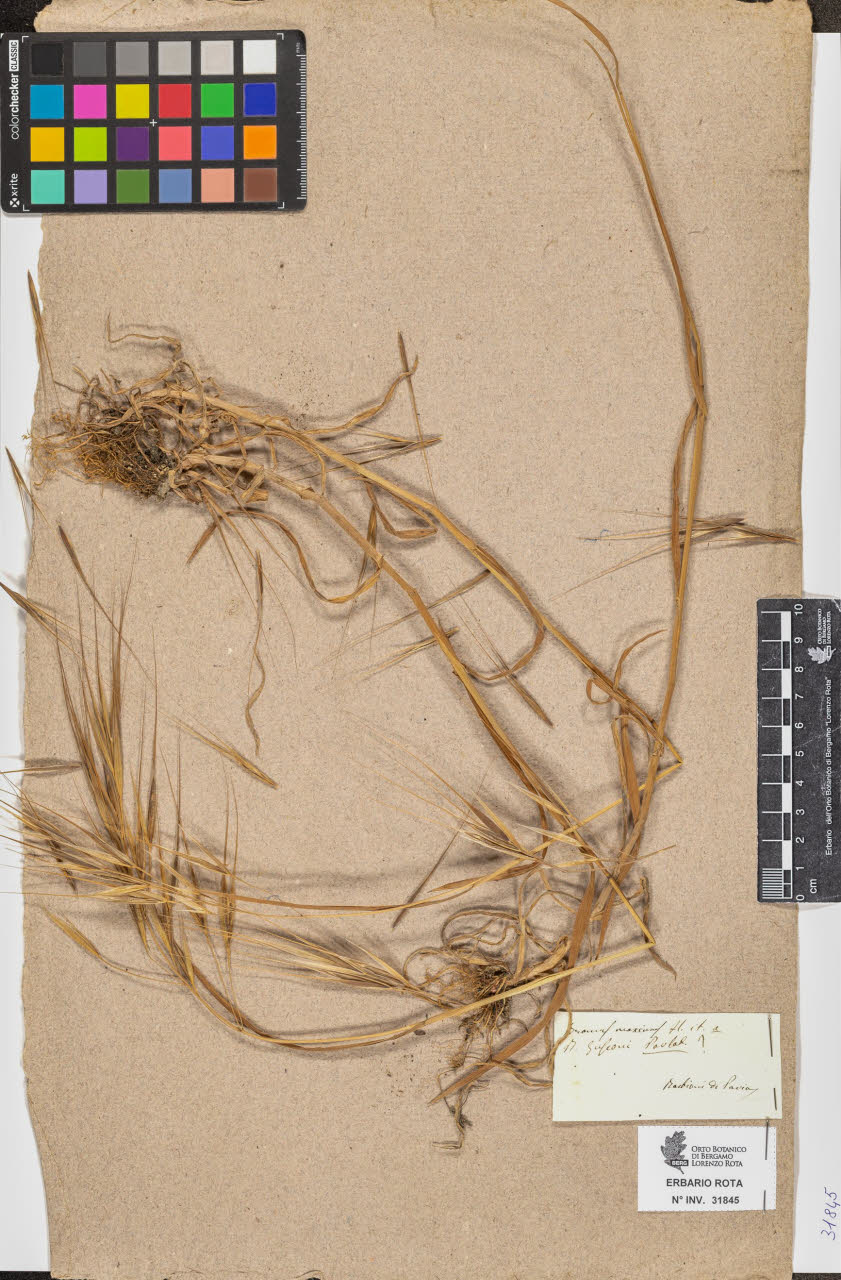 SW_BNB_s3090-09886_IMG-0000000001