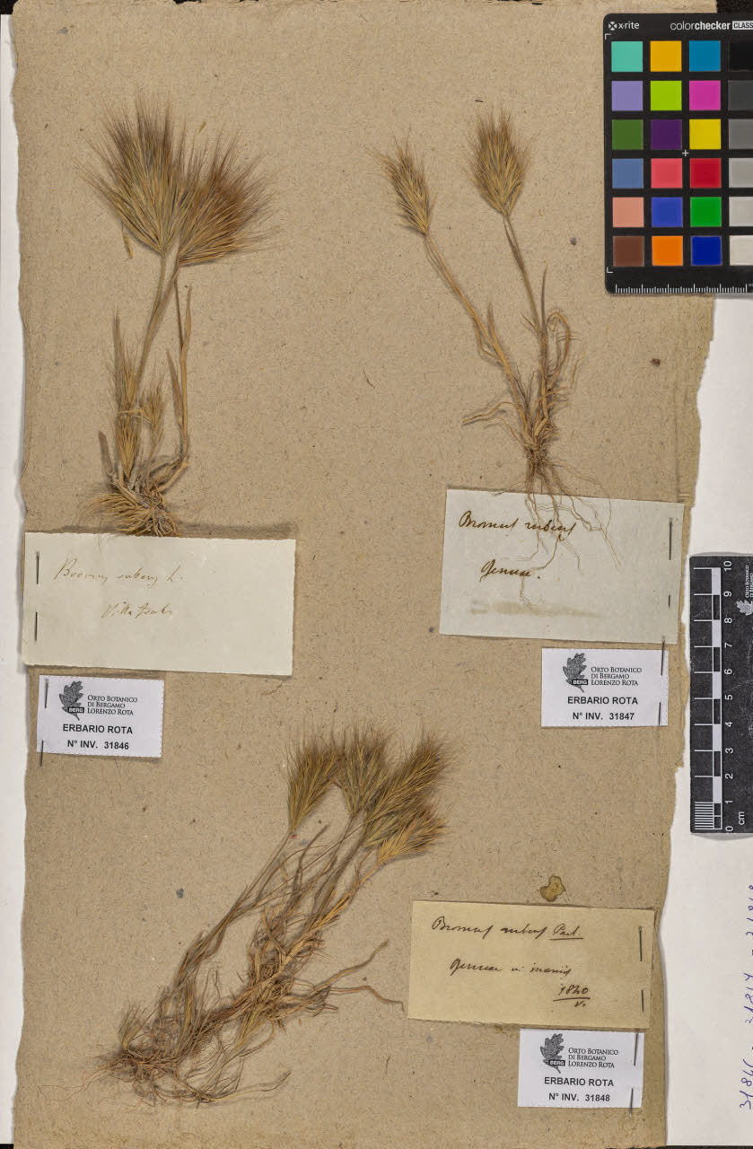 SW_BNB_s3090-09889_IMG-0000000001