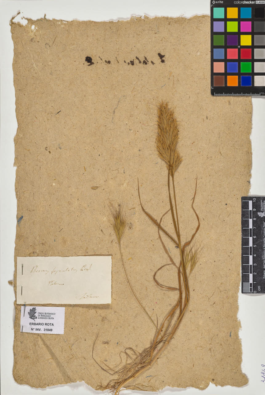 SW_BNB_s3090-09890_IMG-0000000001