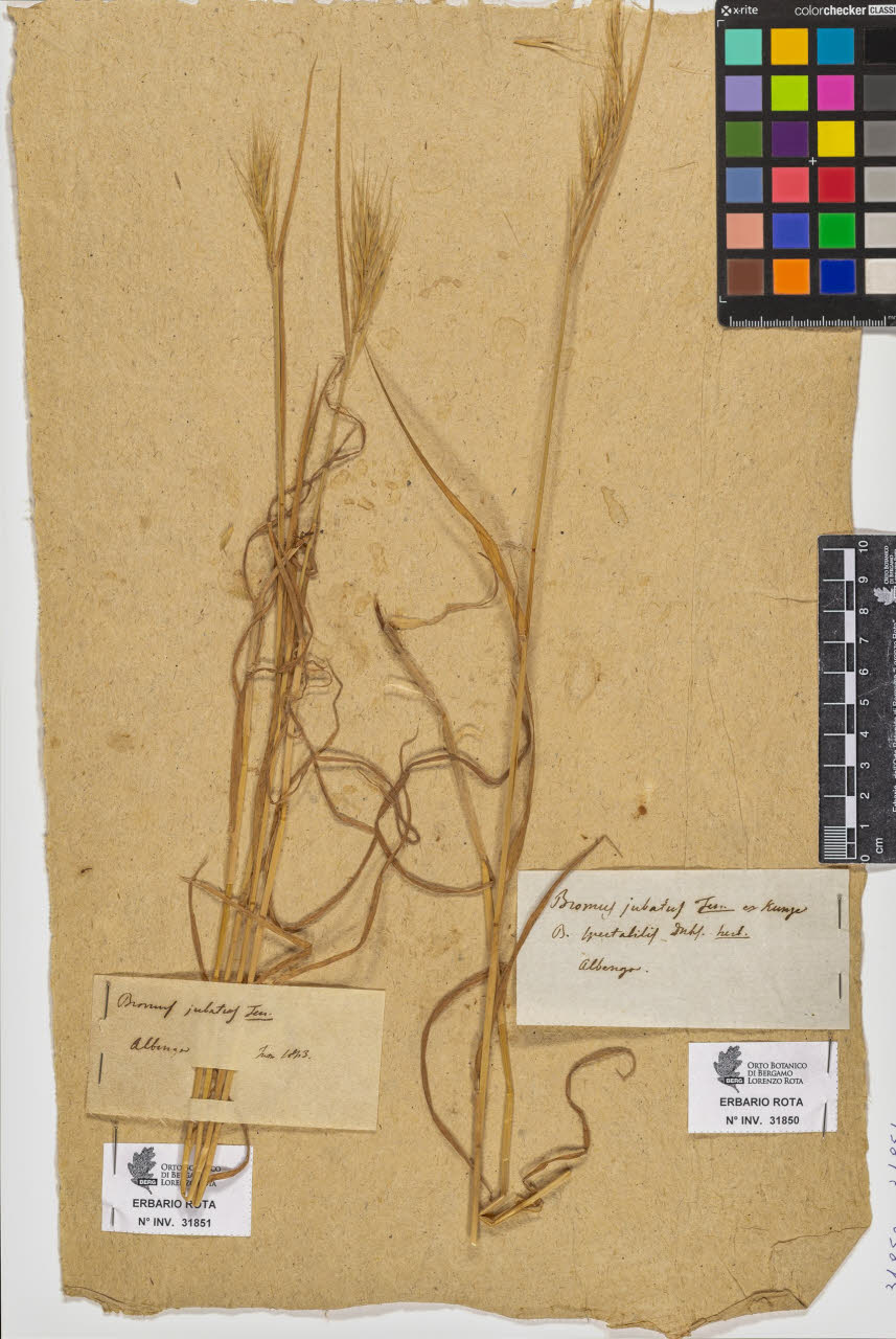 SW_BNB_s3090-09892_IMG-0000000001