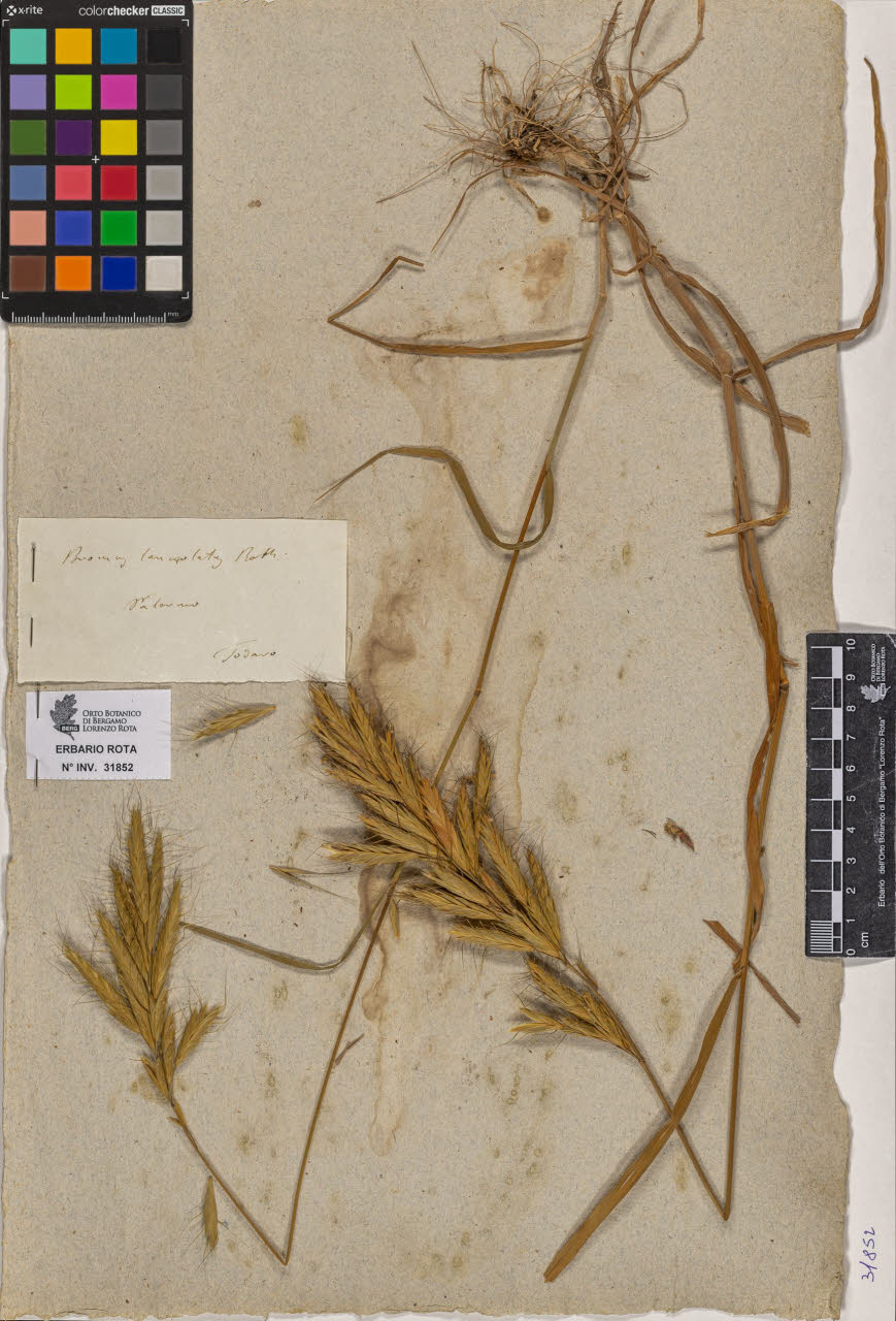 SW_BNB_s3090-09893_IMG-0000000001